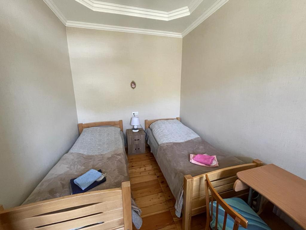 Family Hotel 7 Sisters Kazbegi Extérieur photo