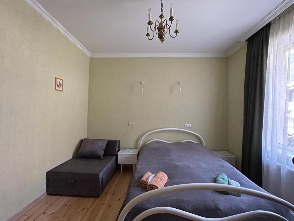 Family Hotel 7 Sisters Kazbegi Extérieur photo